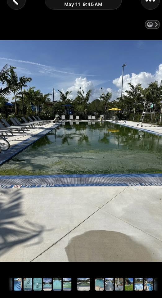 Pool before the first Revival Pool Co transformation